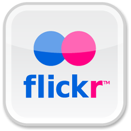 flickr logo 4.png