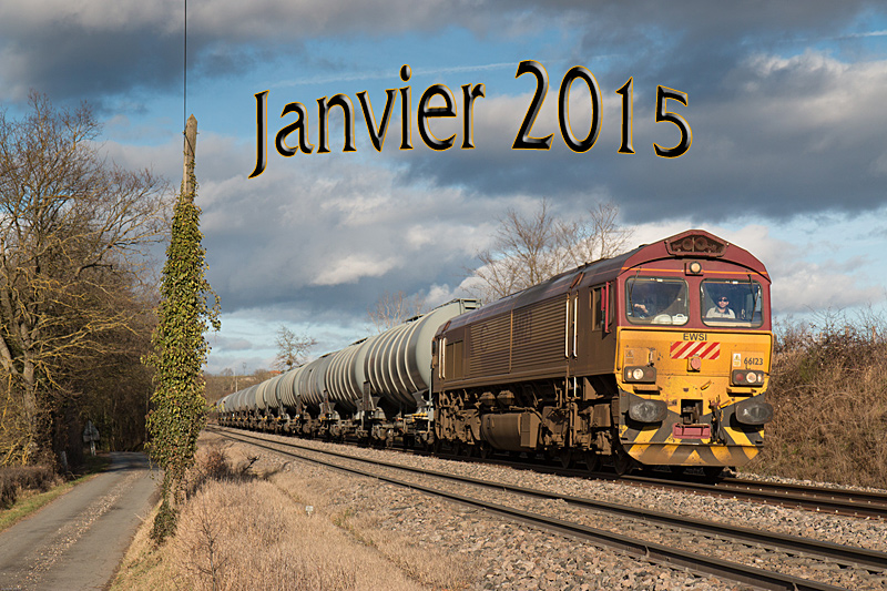 janvier2015.jpg